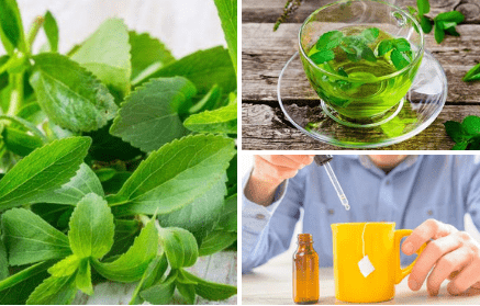 Stevia: 100% prirodno sladilo s mnogim beneficijama za zdravlje